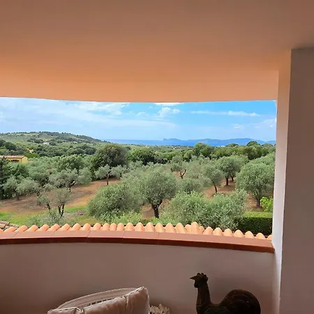 Casetta Degli Ulivi